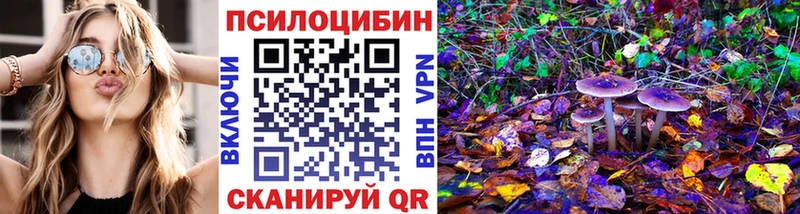 Галлюциногенные грибы GOLDEN TEACHER  магазин продажи наркотиков  Шумерля 